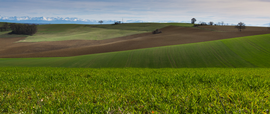 Paysage | © Gilles Vanderstraeten