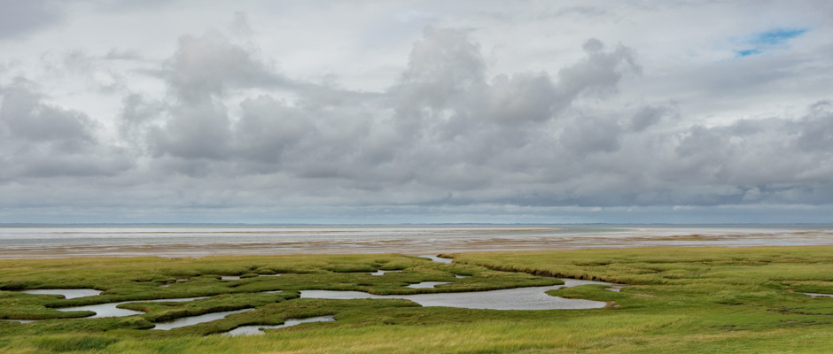 Les prés salés de Mandø | © Gilles Vanderstraeten