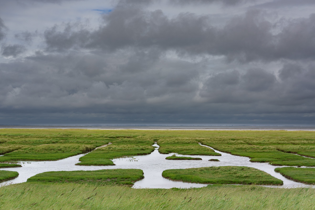 © Gilles Vanderstraeten